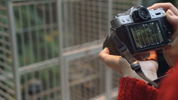 Close Up of DSLR Camera | Free Stock Video - No Copyright | 4K