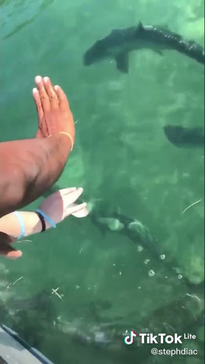 Fish bite her finger!!! #shorts