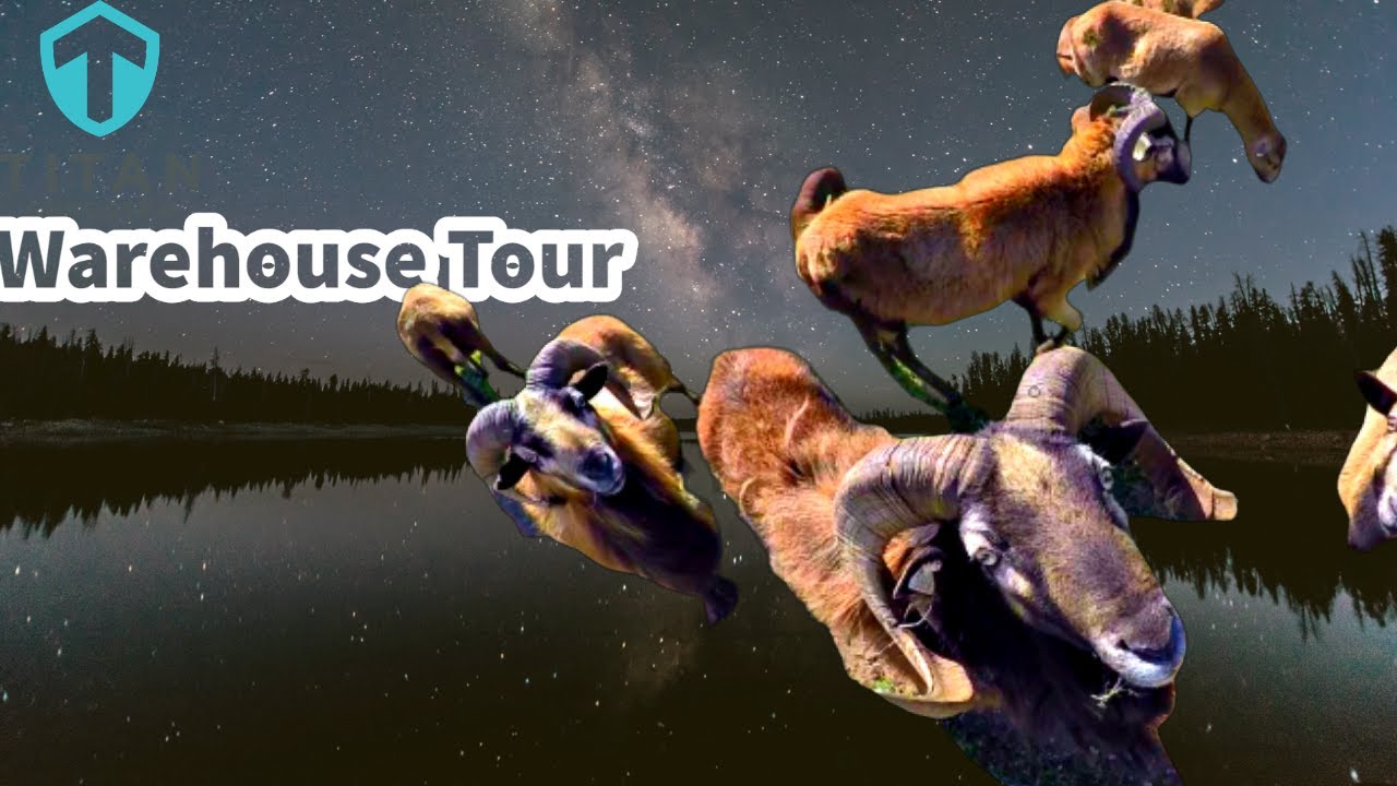 Inside Look at a Tungsten Weight company (Titan Tungsten)