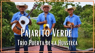Video thumbnail of "Trío Puerta de la Huasteca - El Pajarito Verde (Son Xantolero)"