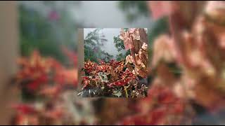 John Michael Howell & Ryan Mack - Good Day [Remix]