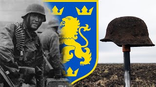 Metal detecting in Europe. WW2. Waffen SS division. Search for war with a metal detector