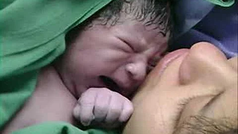 Joseph Salini Flores