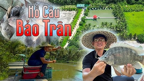 Câu Cá Phi tại Hồ Câu Bảo Trân – Thiên Đường Xanh tại Bình Dương