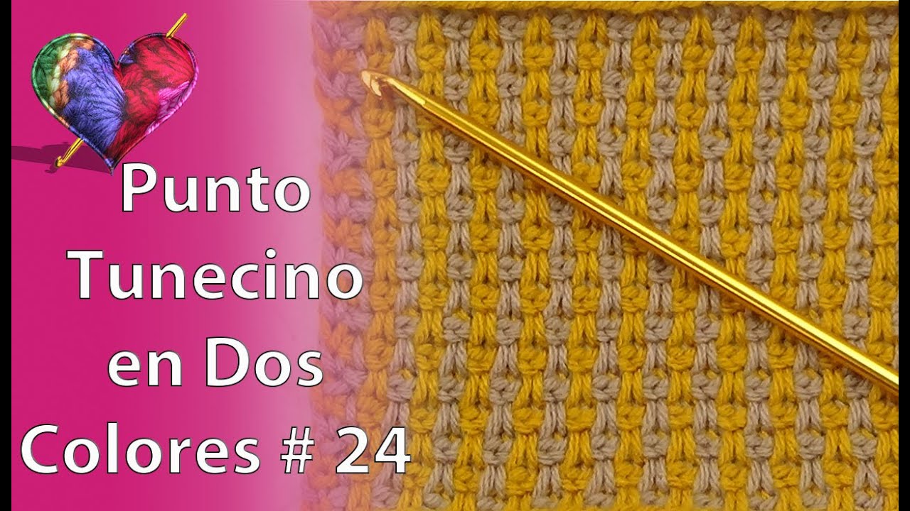 CROCHET TUNECINO en DOS COLORES Punto (# 24)