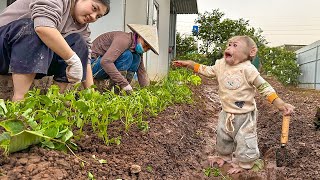 Lala is eager to speed up the progress of farm renovation and vegetable planting!