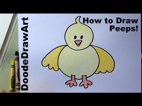 Drawing: How To Draw an Easter Chick, Peep Spring Chick, Baby Chick