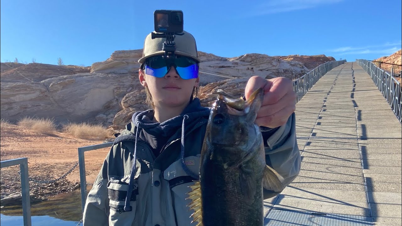 November LAKE POWELL FISHING!!! Featuring @Everettballsfishing ultra successful 🐸💦🤌🏼