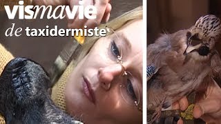 À la découverte de la taxidermie - Ça commence aujourd&#39;hui