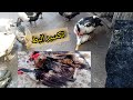 انسي بيض البط يطلع رايق او غير مخصب وبدون بذره بالطريقه دي البيض كله عمران والانتاج كتير 