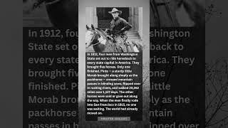 He Was Just the Packhorse — Then Every Other Horse Gave Out and He Kept Going Anyway