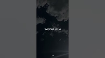 قالوا يا أبانا استغفر لنا ذنوبنا🍃|| حالات واتس اب قرأنيه || القارئ محمد هاشم 🥺💘.