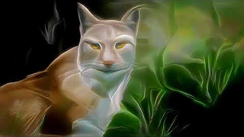 EbSynth Tests Lynx #DeepDream