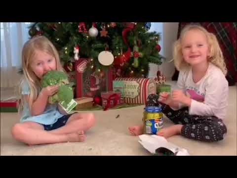 hey-jimmy-kimmel-i-gave-my-kids-a-terrible-christmas-gift-|-prank-gifts-for-the-twins-|-vlogmas