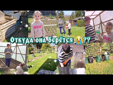 Как бороться дальше с🙈...?/Эксперимент для картошки 🥰.