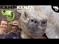 Top 5 Pet Tortoises At Kamp Kenan