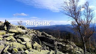 Яремче | Полонина та хребет Явірник | Осінь в Карпатах🍂🍁