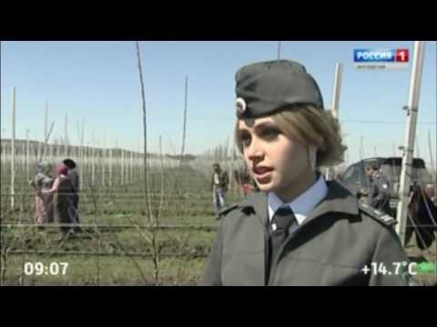 Россельхознадзор по РИ провел рейдовое мероприятие по посадке саженцев на предпр