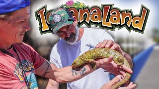 PART 1 Amazing Monitors & Iguanas! Full Tour of Iguanaland's Incredible Lizard Exhibits by Wolfe's World 9,664 views 3 months ago 46 minutes