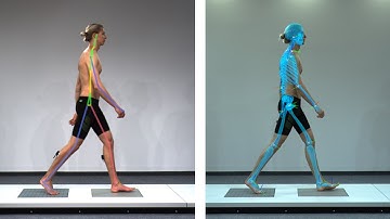 TEMPLO® Gait & Running Features | 2D & 3D Markerless Tracking