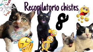 Recopilatorio Chistes BlackMisy 8