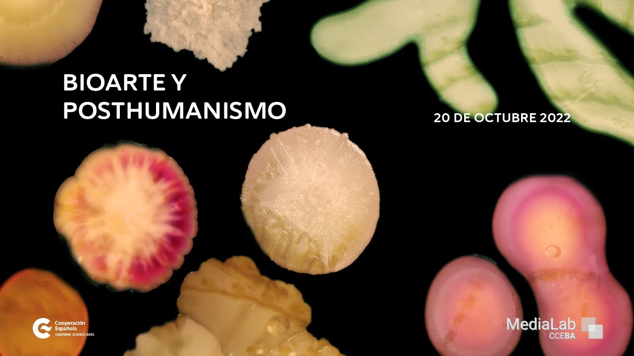 Taller Bioarte y posthumanismo - 20 de octubre 2022