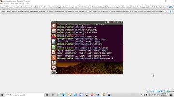 activating z80 simulator in Ubuntu terminal