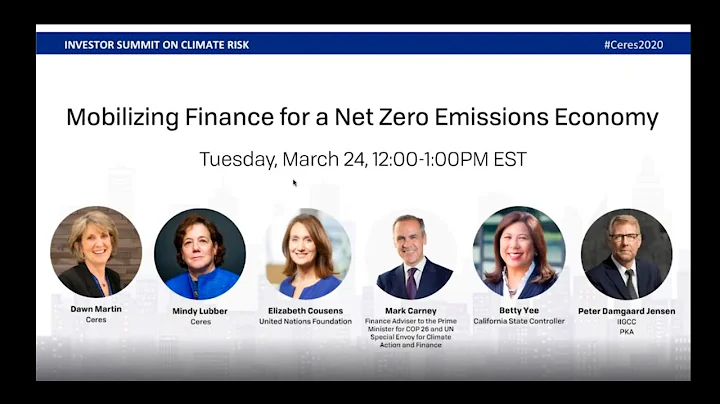 Mobilizing Finance for a Net Zero Emissions Economy