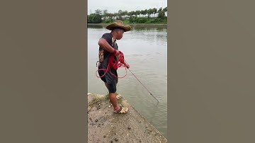 carp fishing for beginners  #net #video #cast #cooking