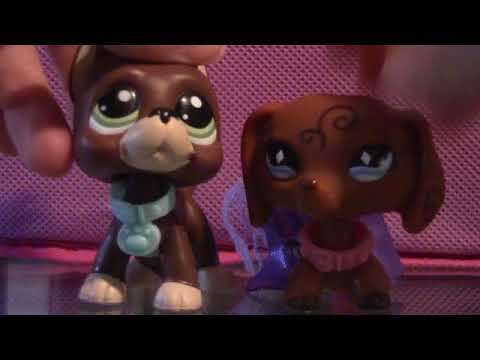 camera iphone 8 plus apk Lps #Dareus: New dares