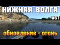 theFisher Online - РЫБАЛКА на нижней Волге! МНОГО РЫБЫ! Обзор обновления