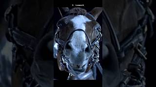 #movie Horse vs. Motorcycle – The Craziest Chase in Action Movie History | True Lies