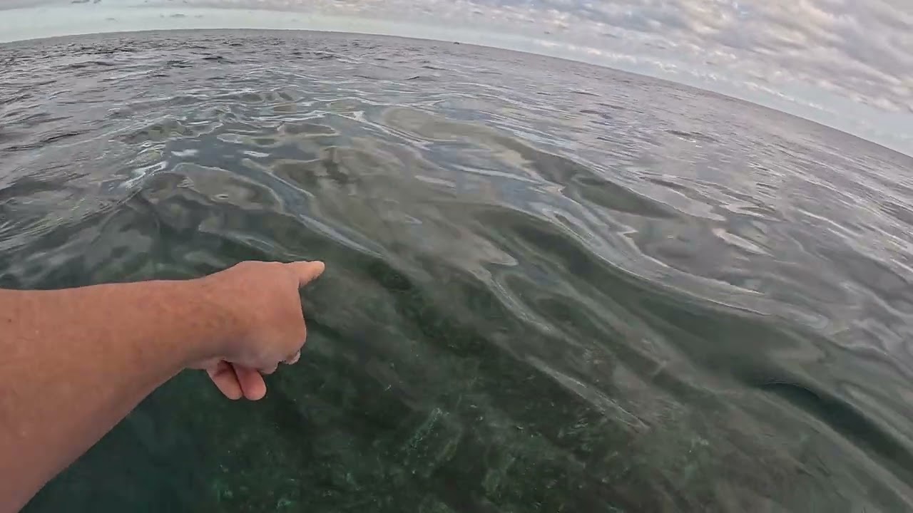 Filmo la anomalía hunde barcos creada por la naturaleza – REAL 2025