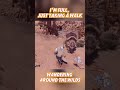 I’m full, just taking a walk.Wandering around the#MonsterHunter #MonsterHunterWilds #game #MHW