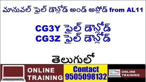 SAP CG3Y / CG3Z|| మానుల్ ఫైల్ డౌన్లోడ్ ,అప్లోడ్ at AL11||CG3Y ||CG3Z ఫైల్ డౌన్లోడ్||తెలుగులో