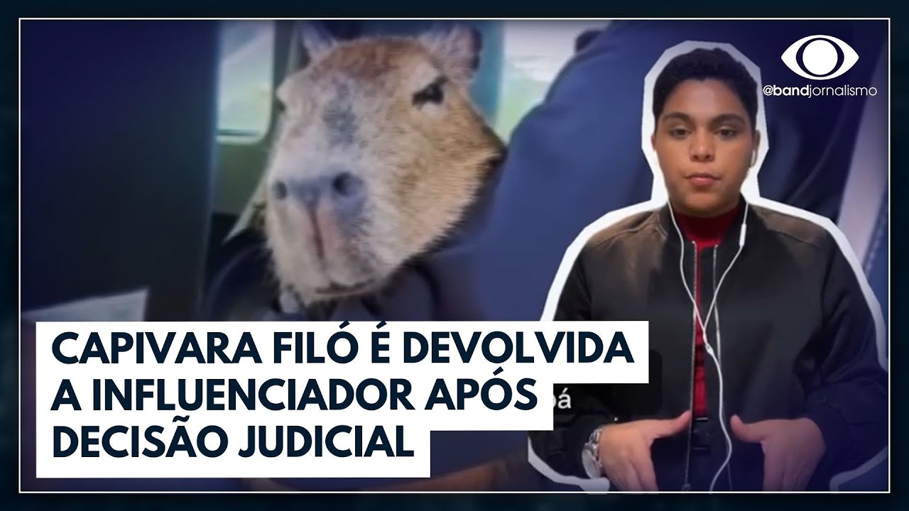 Influenciador consegue guarda provisória da Capivara Filó; entenda a disputa