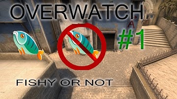 CS:GO OVERWATCH  #1