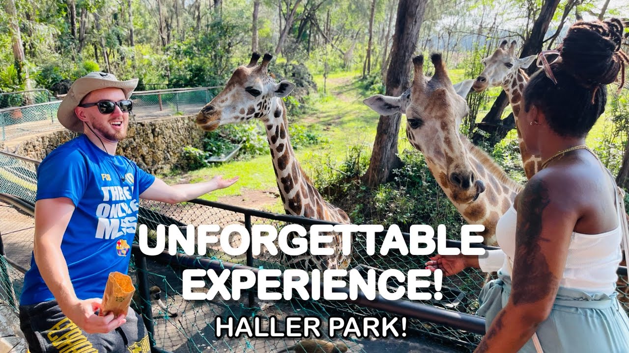 EXPERIENCES AT AN AFRICAN ZOO - HALLER PARK!