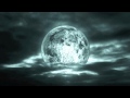 Alacran  refelejo de luna