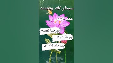 سبحان الله وبحمده عدد خلقه...#flowers #اذكار_الصباح #اذكار_المساء #اذكار #سبحان_الله