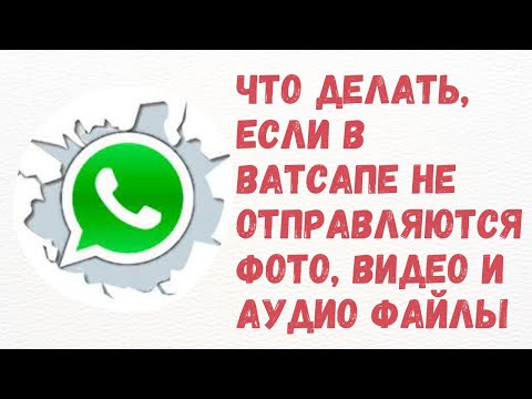 Три работающих способа решить проблему с отправкой и загрузкой медиафайлов в Ватсапе