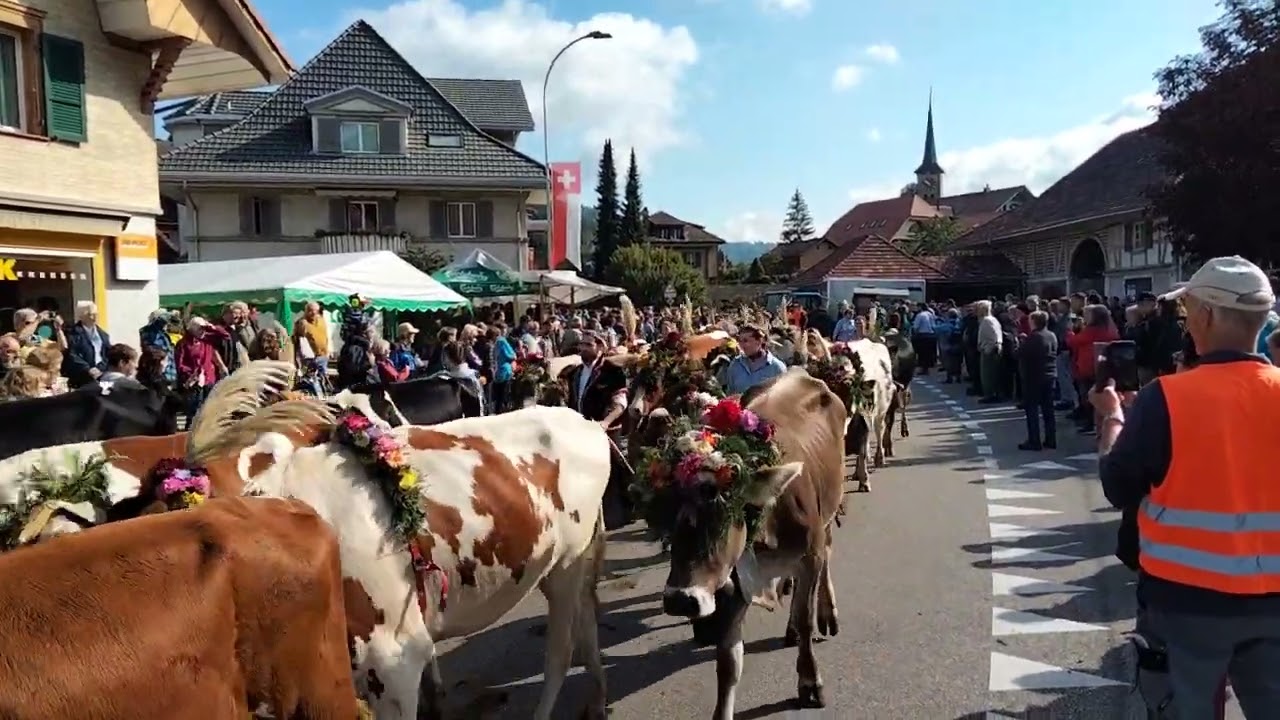 Alpabzug in Wasen im Emmental. Schweiz - YouTube