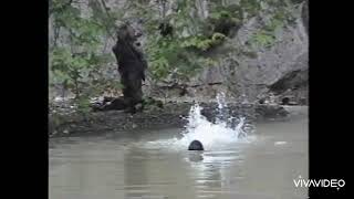 القائد خطاب يسبح في النهر