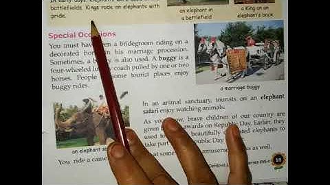 EVS || Class 4 || Chapter 14 || Animals in Transport