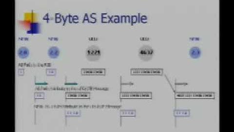 4-Byte ASNs - The View from the Old BGP World