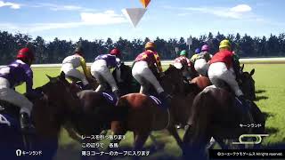 Winning Post 10 2025 GI [539]