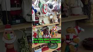 Thrift Shopping can be fun! POV