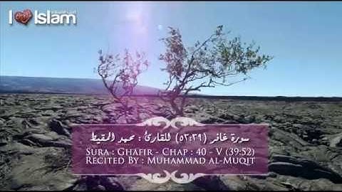 تلاوة رائعة من سورة غافر - القارئ محمد المقيط