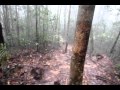 Taman Negara National Park-Trekking to Bukit Teresek (Teresek Hill)-2nd video