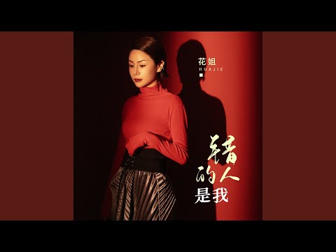 错的人是我
